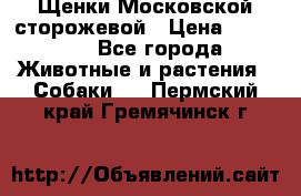 Щенки Московской сторожевой › Цена ­ 35 000 - Все города Животные и растения » Собаки   . Пермский край,Гремячинск г.